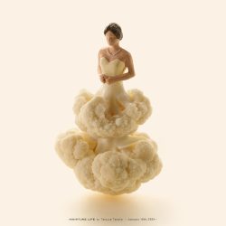 カリフラワー ドレス バレエ Cauliflower Fashion Dress Ballet