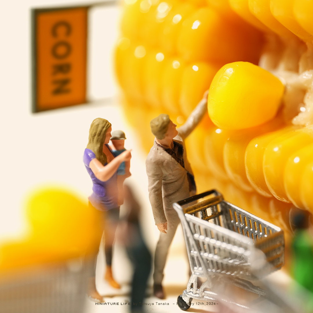 トウモロコシ スーパーマーケット Corn Supermarket