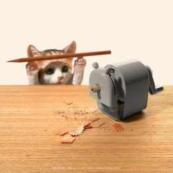 鉛筆削り ネズミ 猫