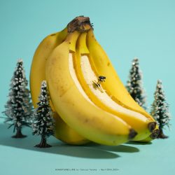 バナナはやっぱりよく滑る
