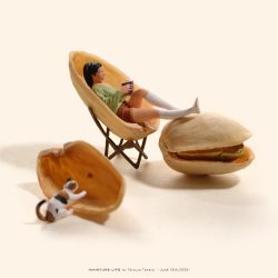 ピスタチオではなく“イス”タチオ