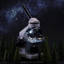 宇宙は小さく広がっている