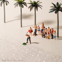 スイカつぶし