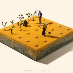 農地ブロック