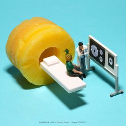 「頭が“パー”ですね、、」