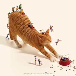 すべりニャい