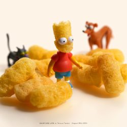 おかしなシンプソンズ