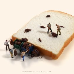 不要なレーズンを回収しています