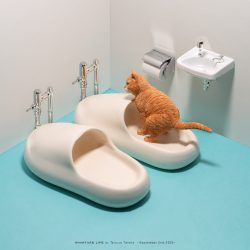 履くのはいいけど吐くのはだめです