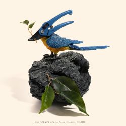 絶滅“器具”種
