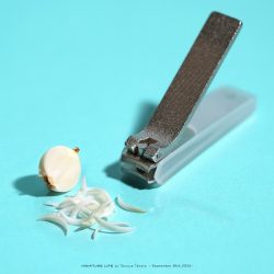 巨人の爪切り