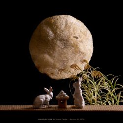 綺麗に揚がった月