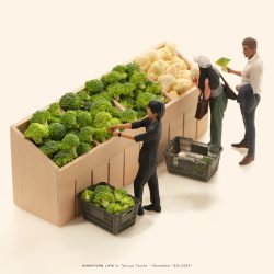 ブロッコリー どこまで切っても ブロッコリー