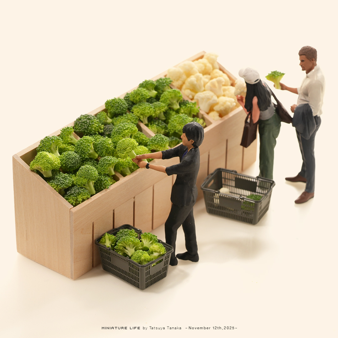 ブロッコリー どこまで切っても ブロッコリー