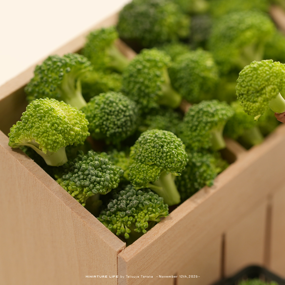 ブロッコリー どこまで切っても ブロッコリー