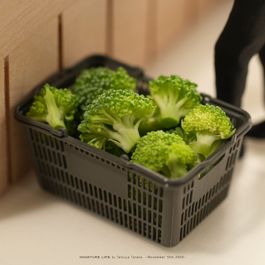 ブロッコリー どこまで切っても ブロッコリー