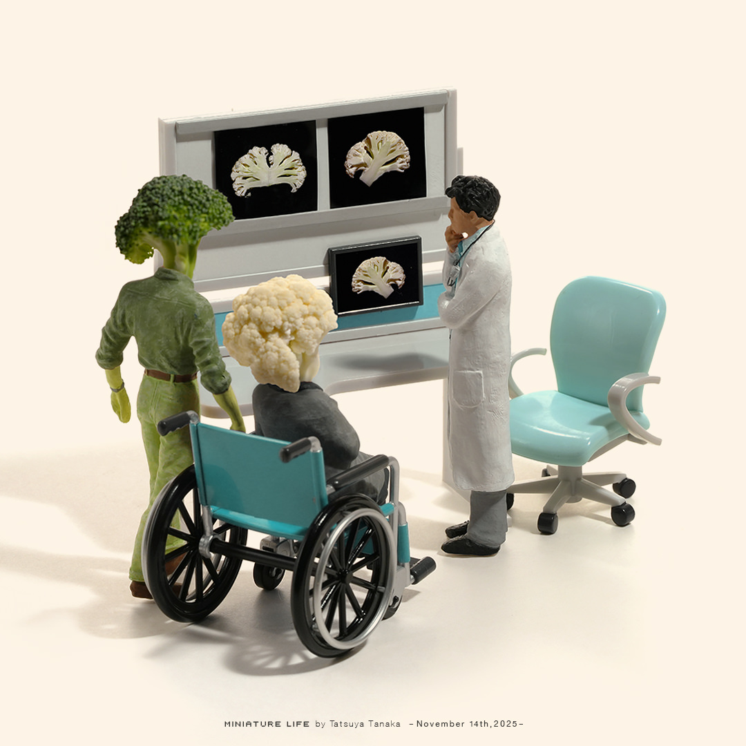 年配のカリフラワー『加齢フラワー』