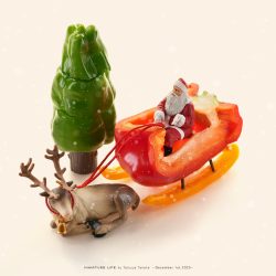 子どもたちに栄養をお届け