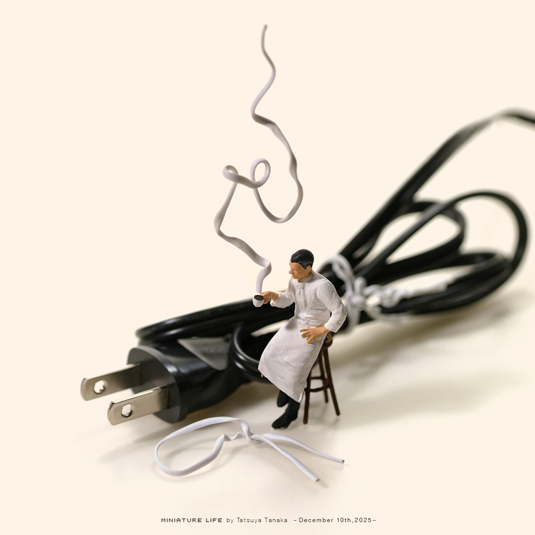 味もコードも綺麗に整えます