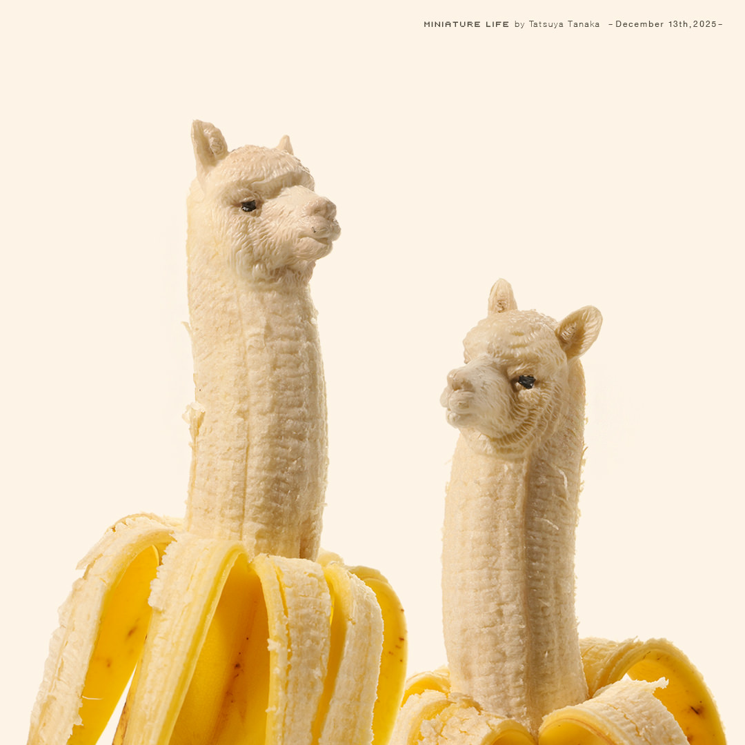 ひと皮むけたアルパカ