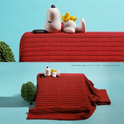 あたたかい屋根の上