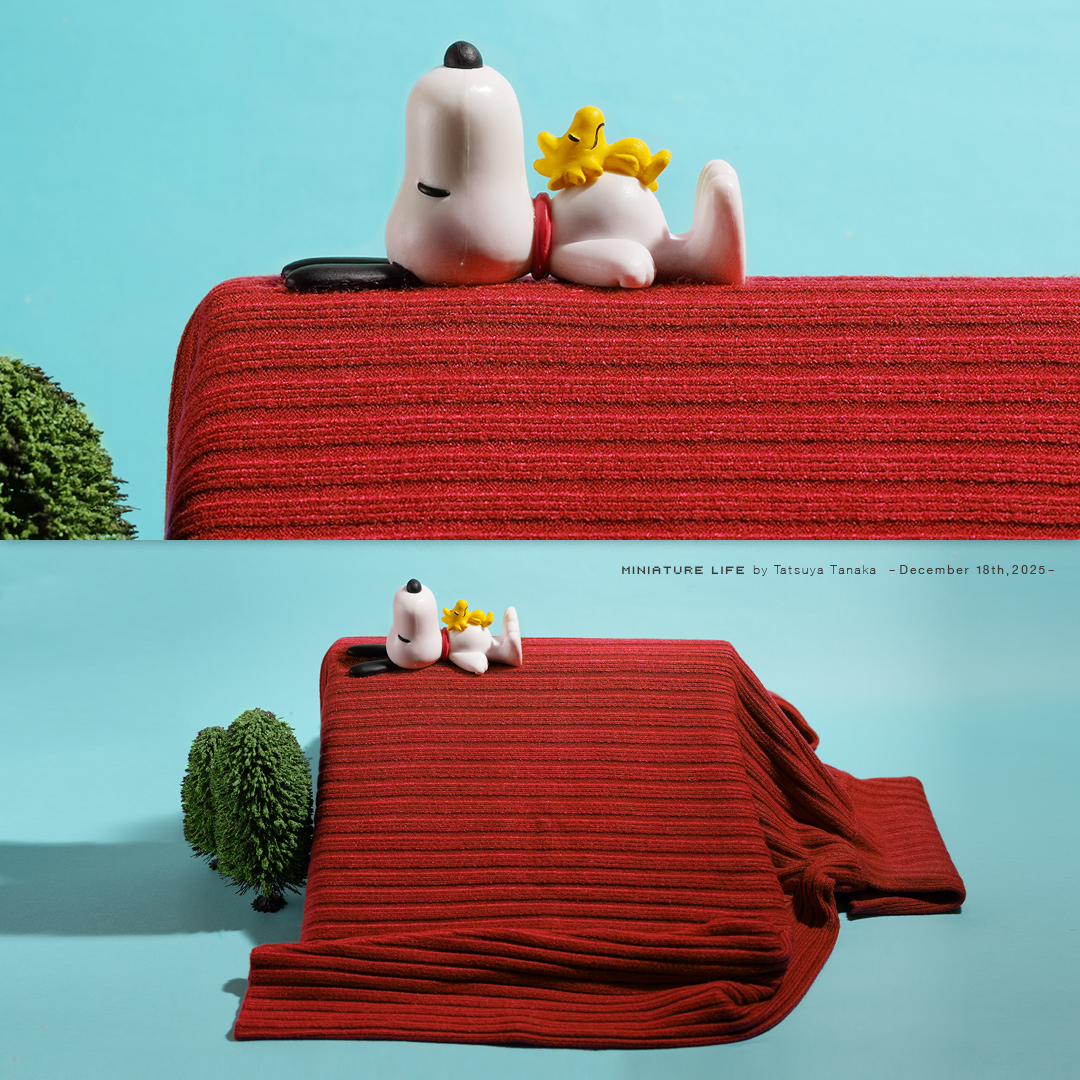 あたたかい屋根の上