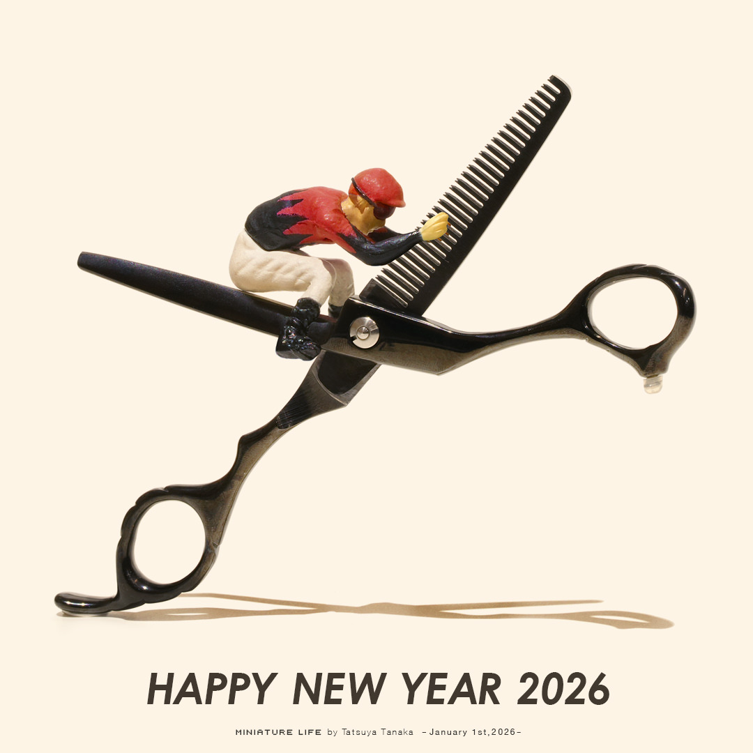 風を切って走れ!