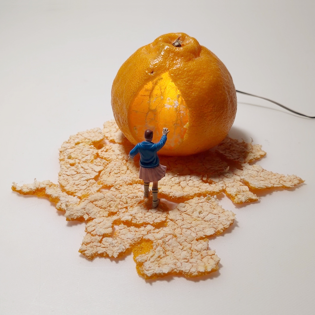 ミカン(未完)の名作、ついに柑橘(完結)