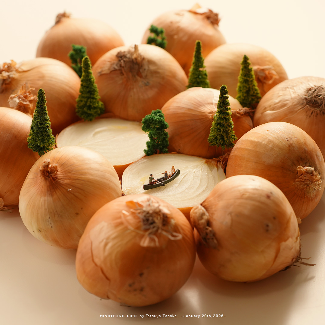 タマにはのんびり