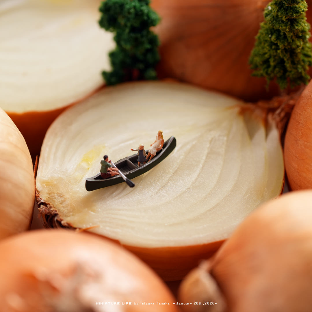 タマにはのんびり