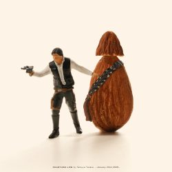 チューイ深く見るとアーモンド