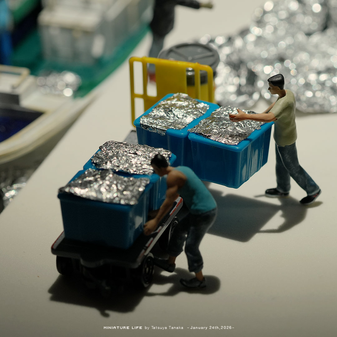 夜の港の"アルミ"ネーション