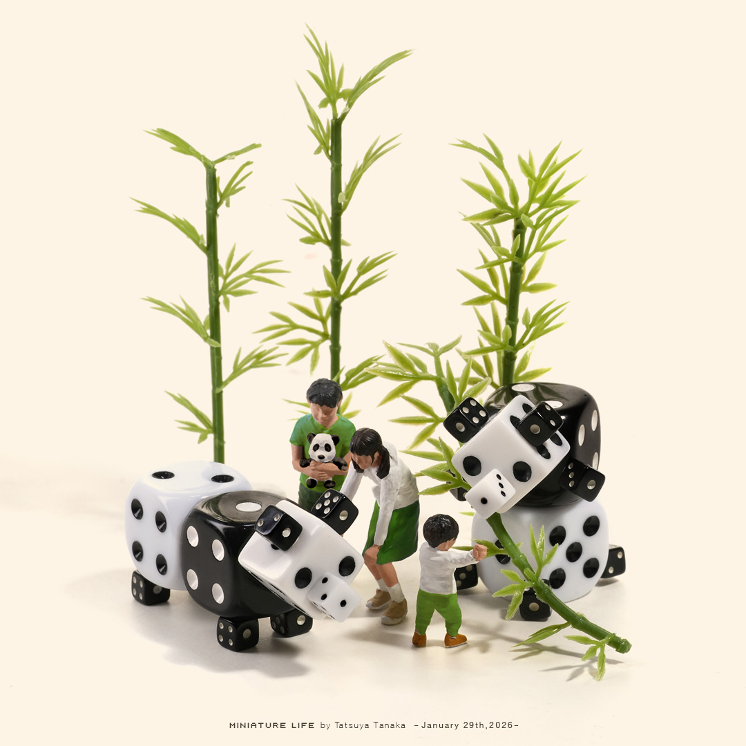 パンダ“ダイス”き