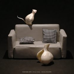 猫にニンニクを与えてはいけません