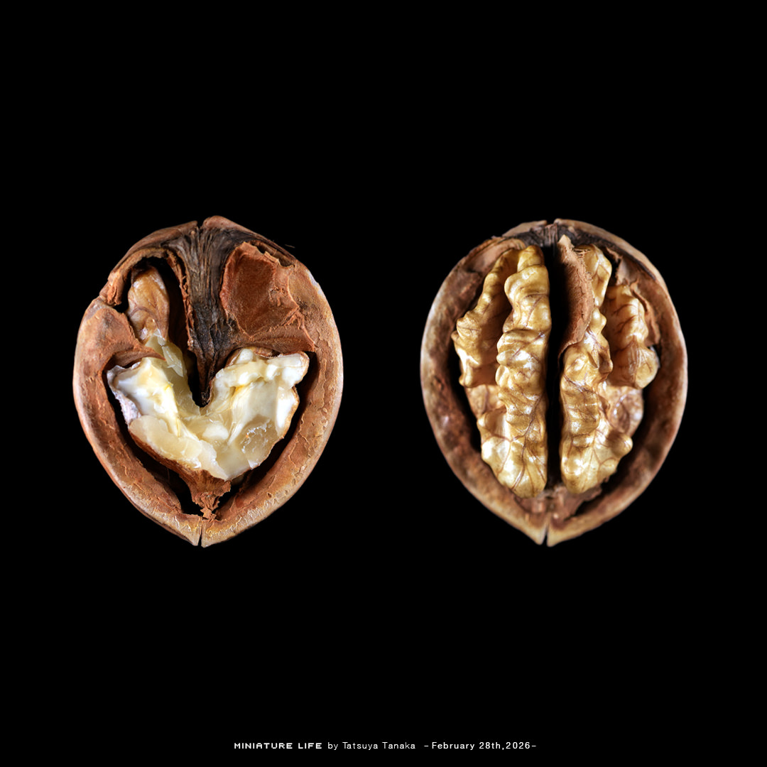 実りある研究成果