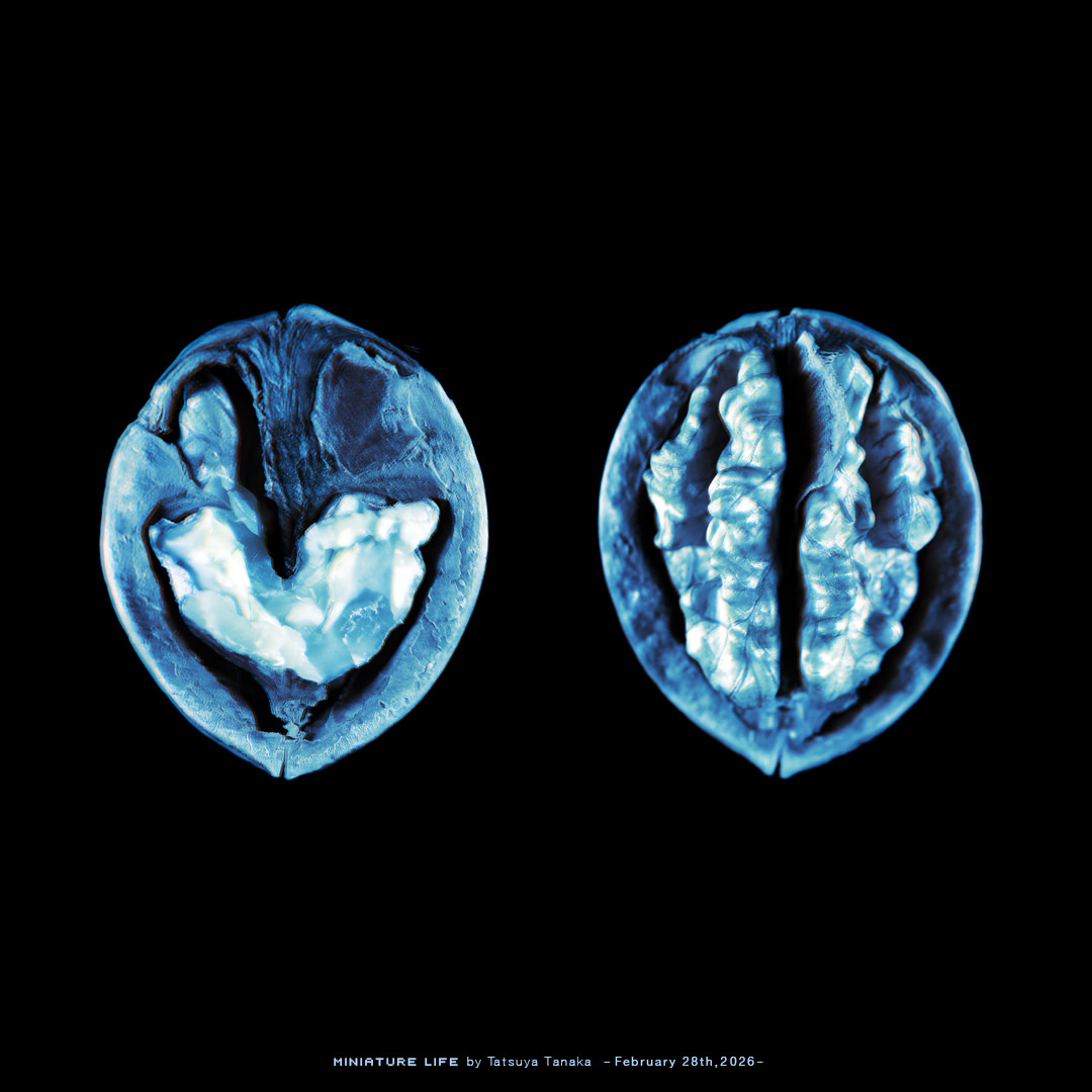 実りある研究成果