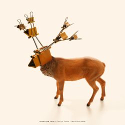 分厚い書類が大好物