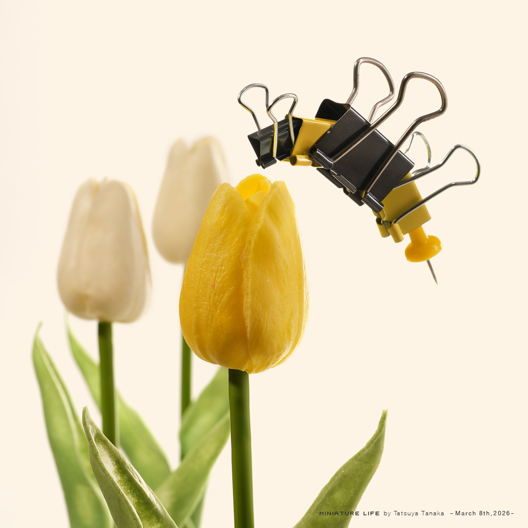 ブンブン文房具