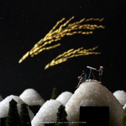 流れ星に願いを米て