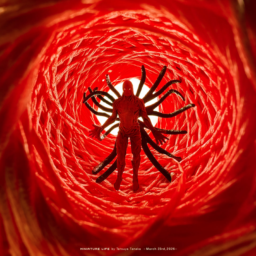 ストレンジャー・ストリングス